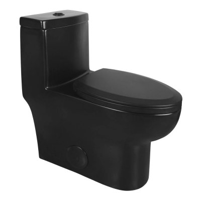 ALLY One-Piece Elongated Toilet, Dual Flush Standard-Size with Multiple Colors-Black