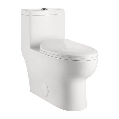 ALLY One-Piece Elongated Toilet, Dual Flush Standard-Size with Multiple Colors-White
