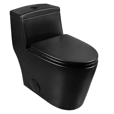 PRISM One-Piece Elongated Toilet, Dual-Flush Glazed Surface with Multiple Colors-Black